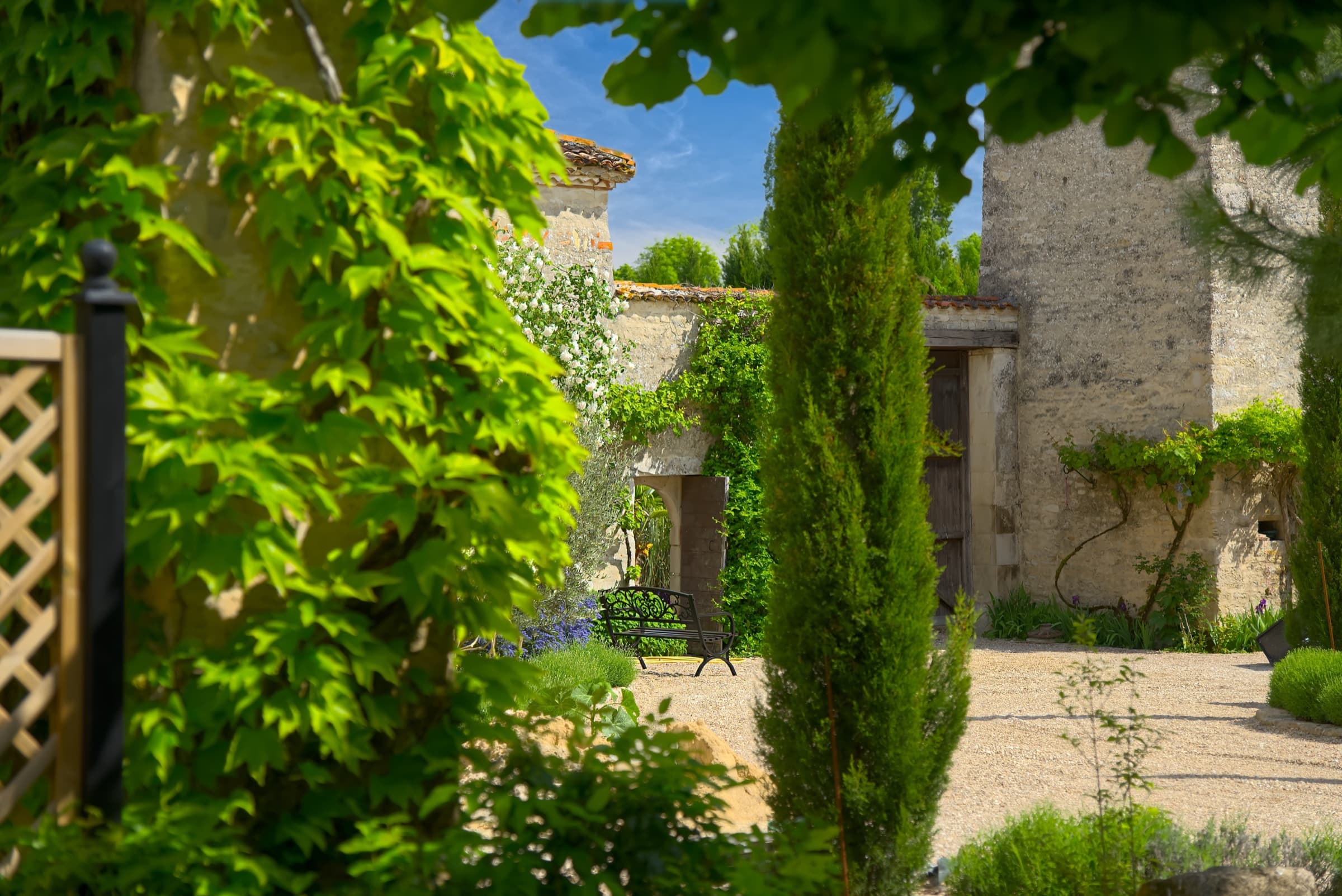 Château Lesvescault — stone courtyard with cypress trees and climbing plants