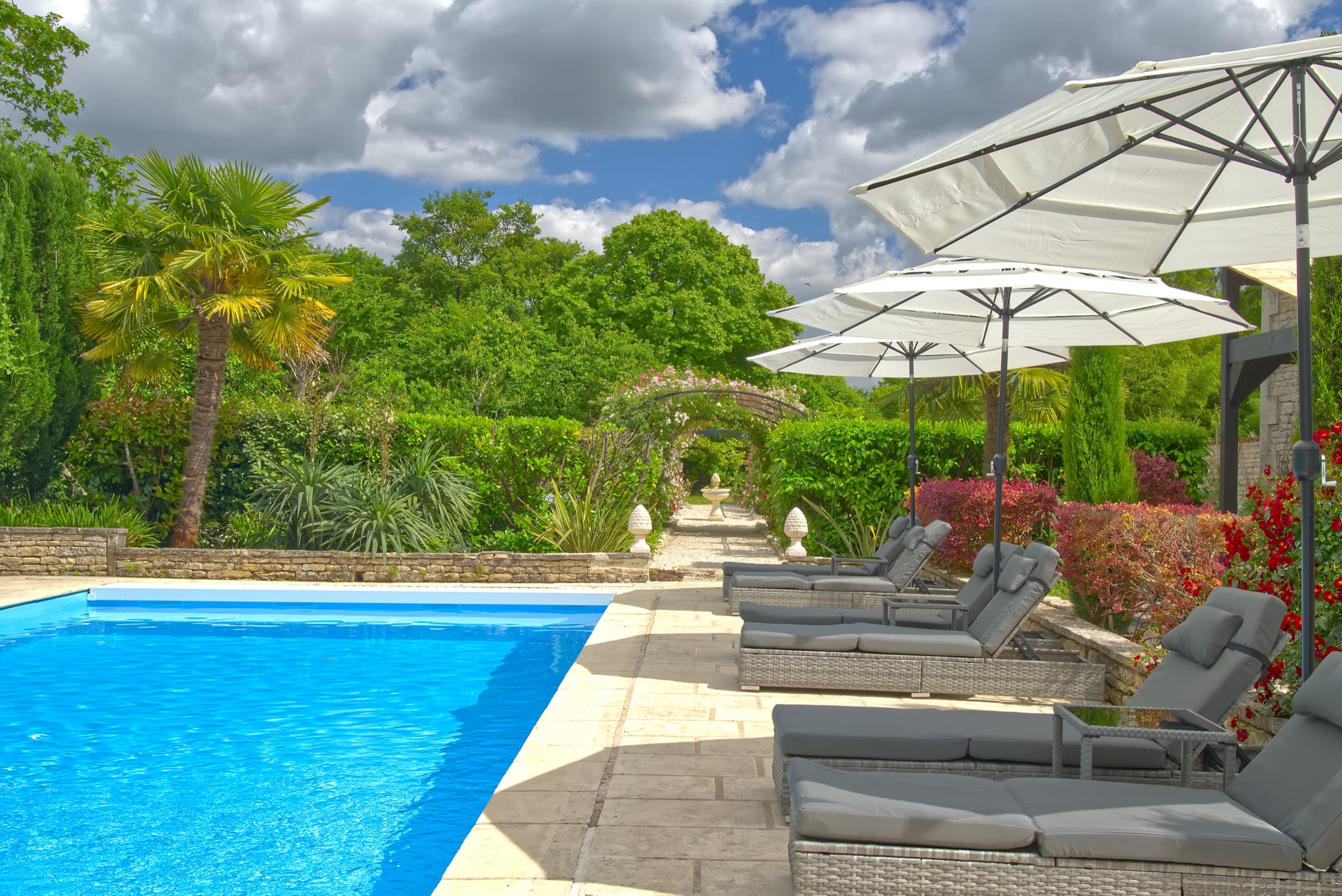 Château Lesvescault — heated saltwater pool with sunloungers and palm tree, Villefagnan