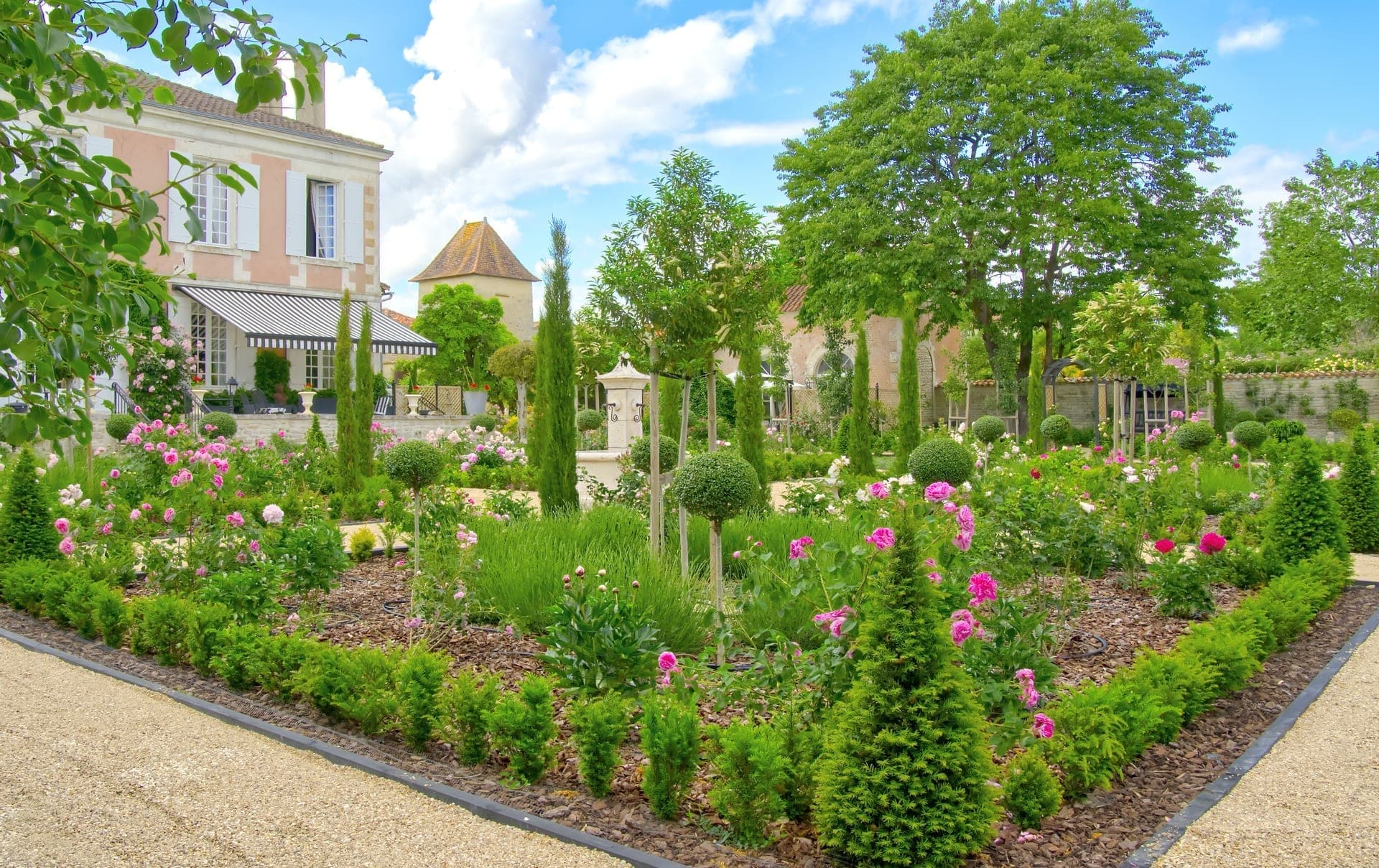 Château Lesvescault — rose garden parterres in full bloom with the main house and tower beyond, Villefagnan