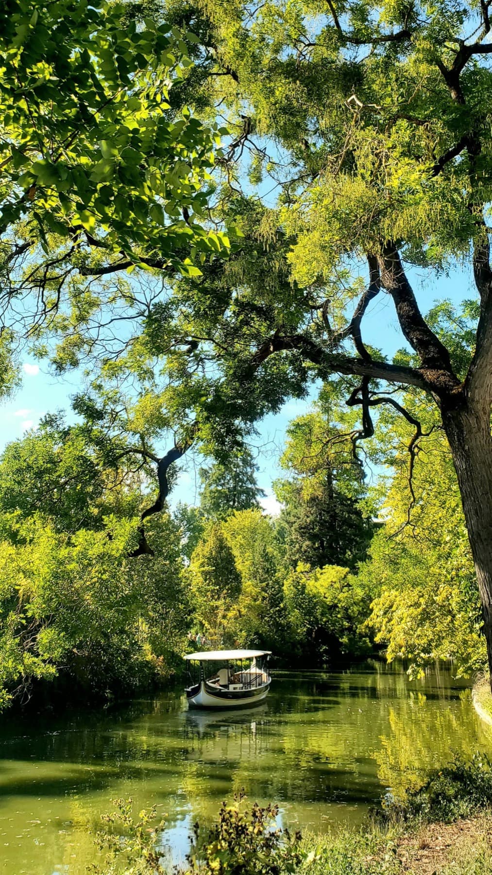 A flat-bottomed boat gliding through the green waterways of the Marais Poitevin