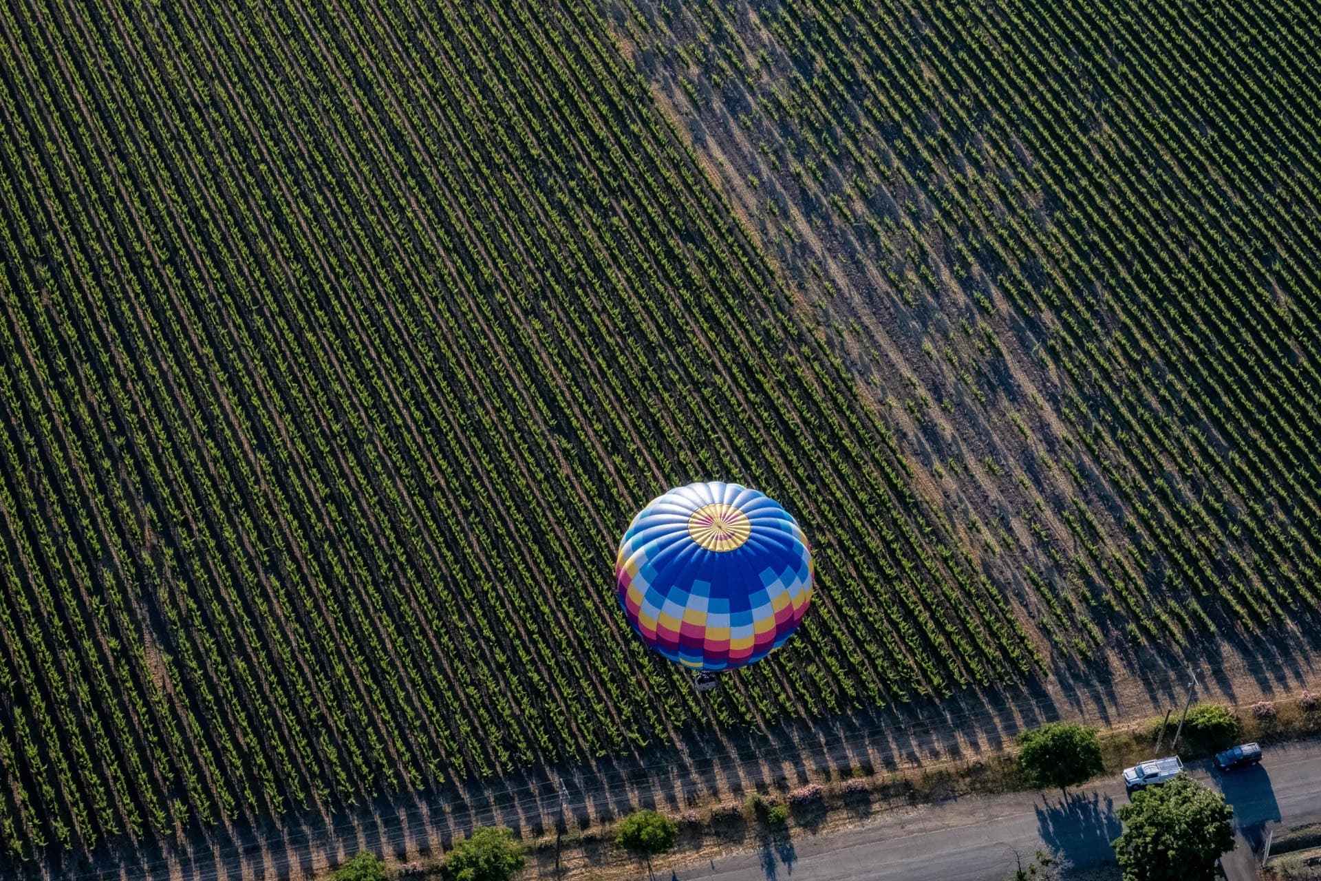 Hot Air Ballooning over the Cognac Vineyards